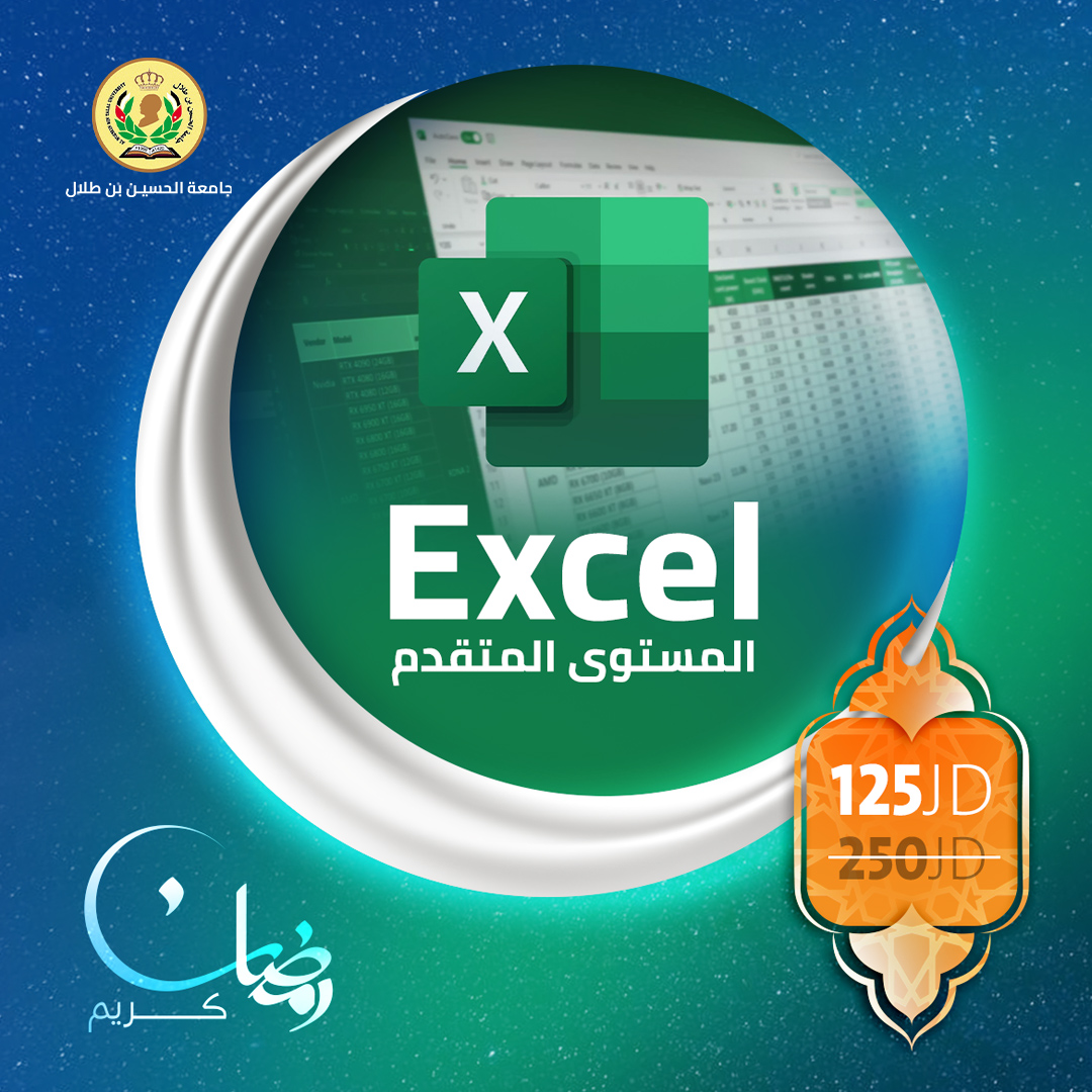 Excel-Advanced course